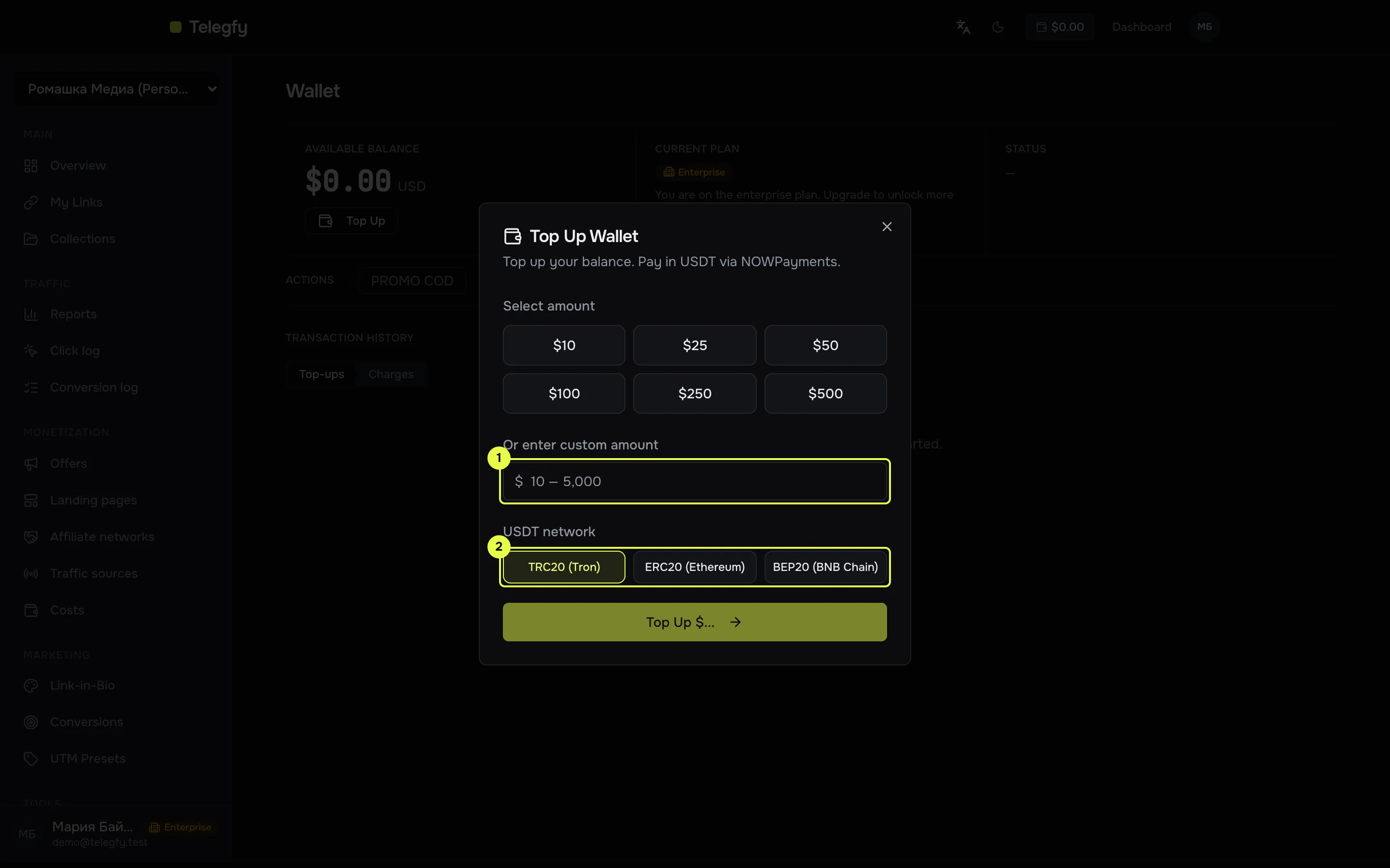 Top-up dialog: amount, bonus and USDT network choice